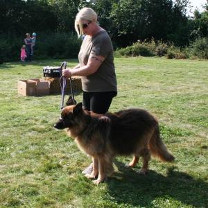 Best female dog