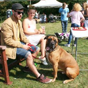 Judge and mastiff