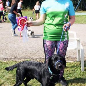Junior handler winner