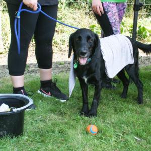 Keeping cool