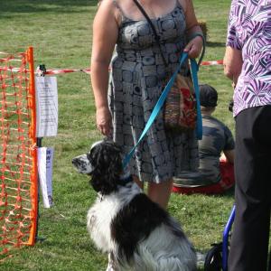Lesley and a keen dog