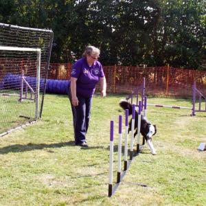 Paws of Parham agility