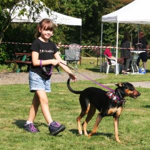 Young handler