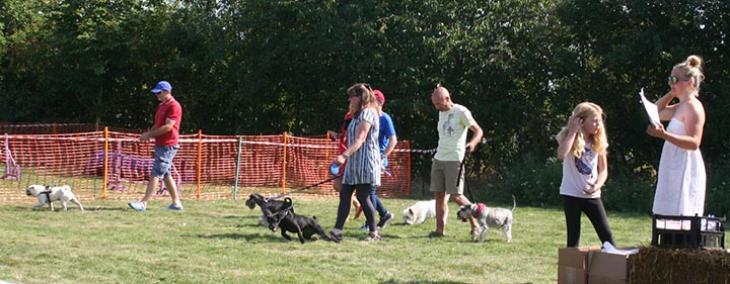 In the judging ring