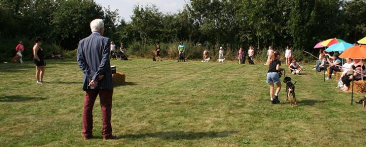 Judging the young handlers