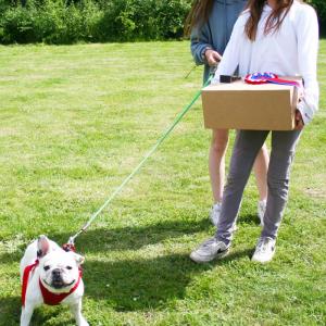 2022DogShow01BestInShow