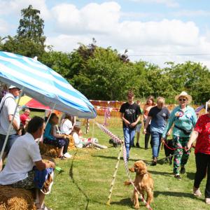 2022DogShow05