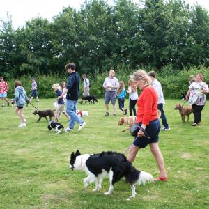 2022DogShow17