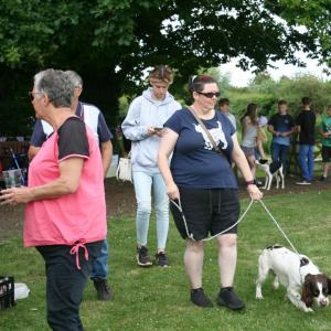 2022DogShow27