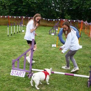 2022DogShow33