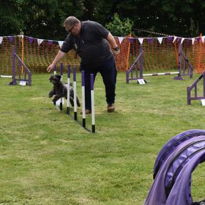 PawsofParham09