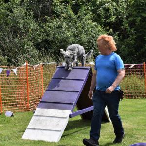 PawsofParham10