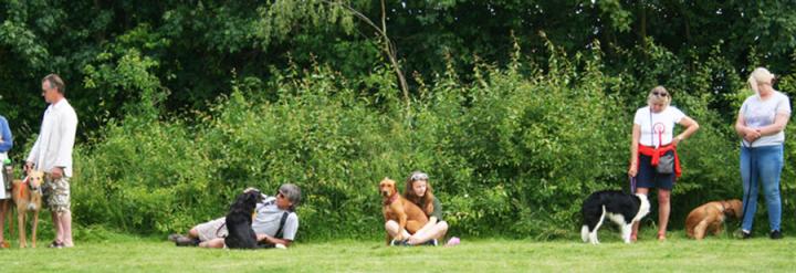 2022DogShowFront