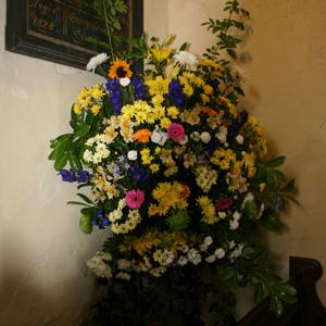Flower festival 2011