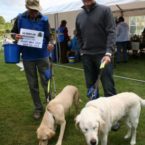 Guide dogs