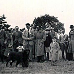 1953 Coronation celebrations