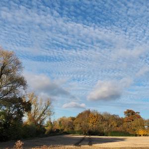 Rob Scott Looking North From Adair Cottage Nov 2021