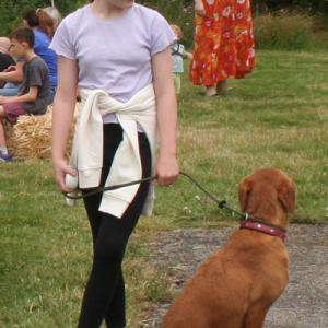 webdogs13
