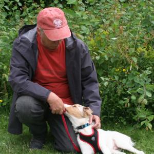 webdogs36
