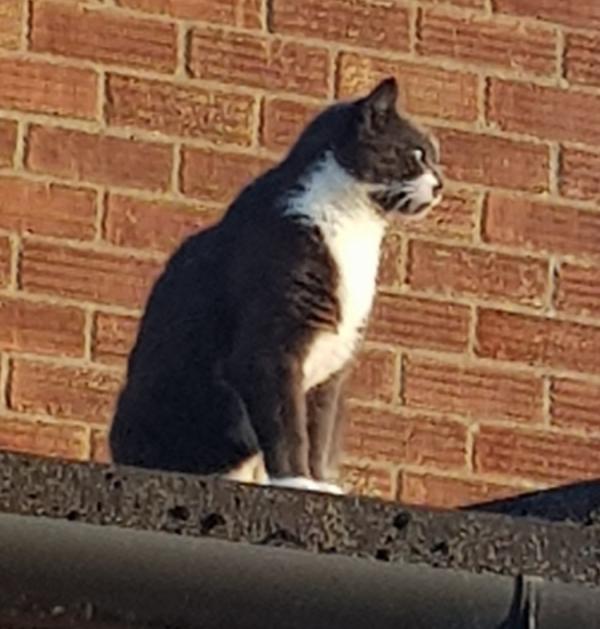 Smudge2